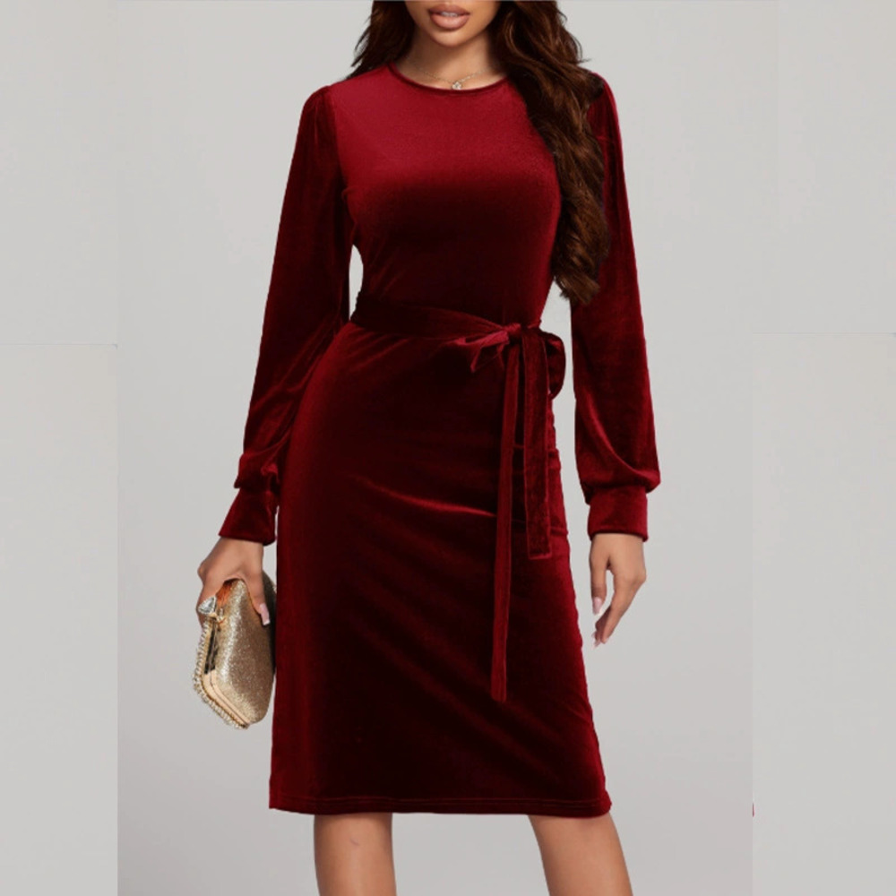 Zara Velvet Waist Cinching Dress Long Sleeve Fall Winter